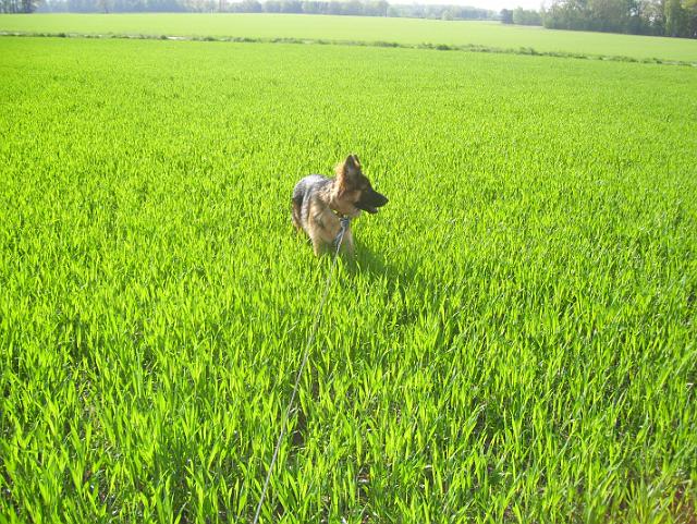 Steinkuhle 2008 (7).JPG